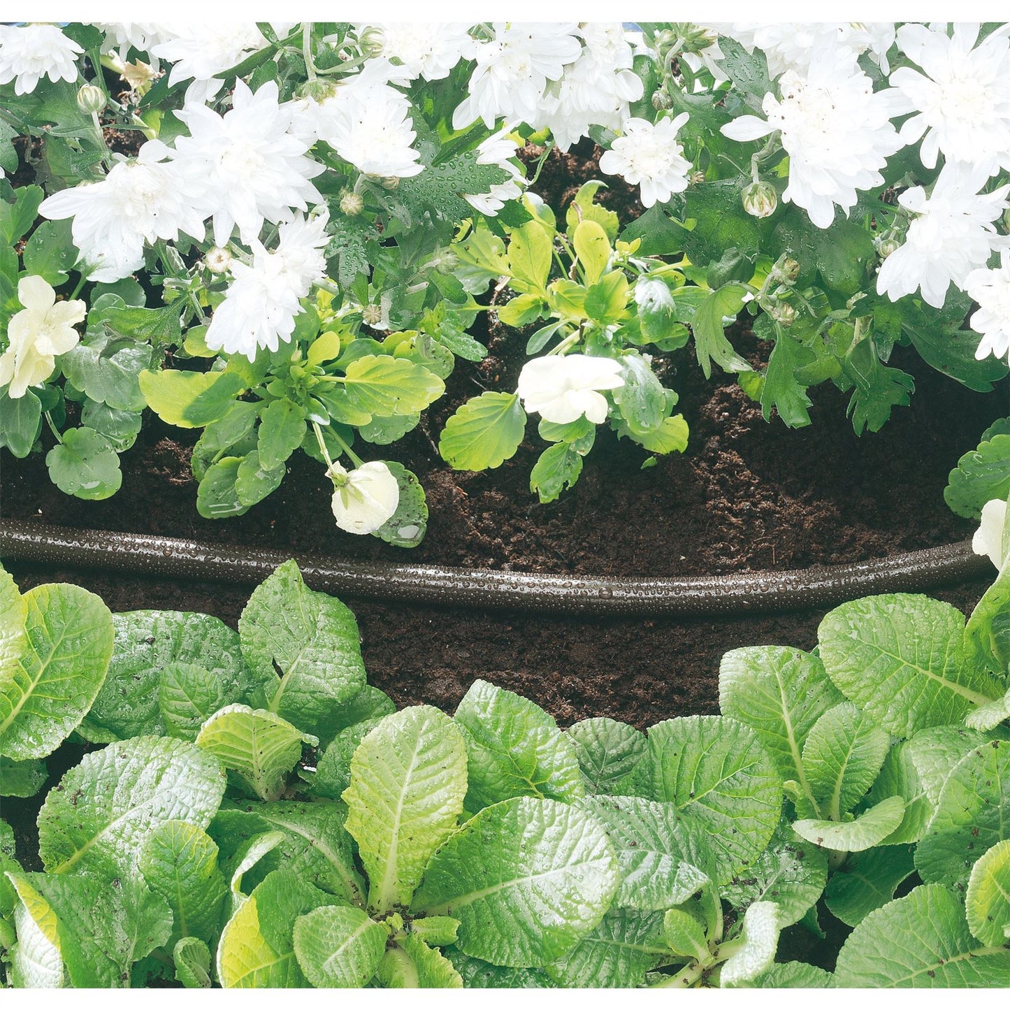 Draper 12mm Bore Perforated Soaker Hose (15m) - 68261