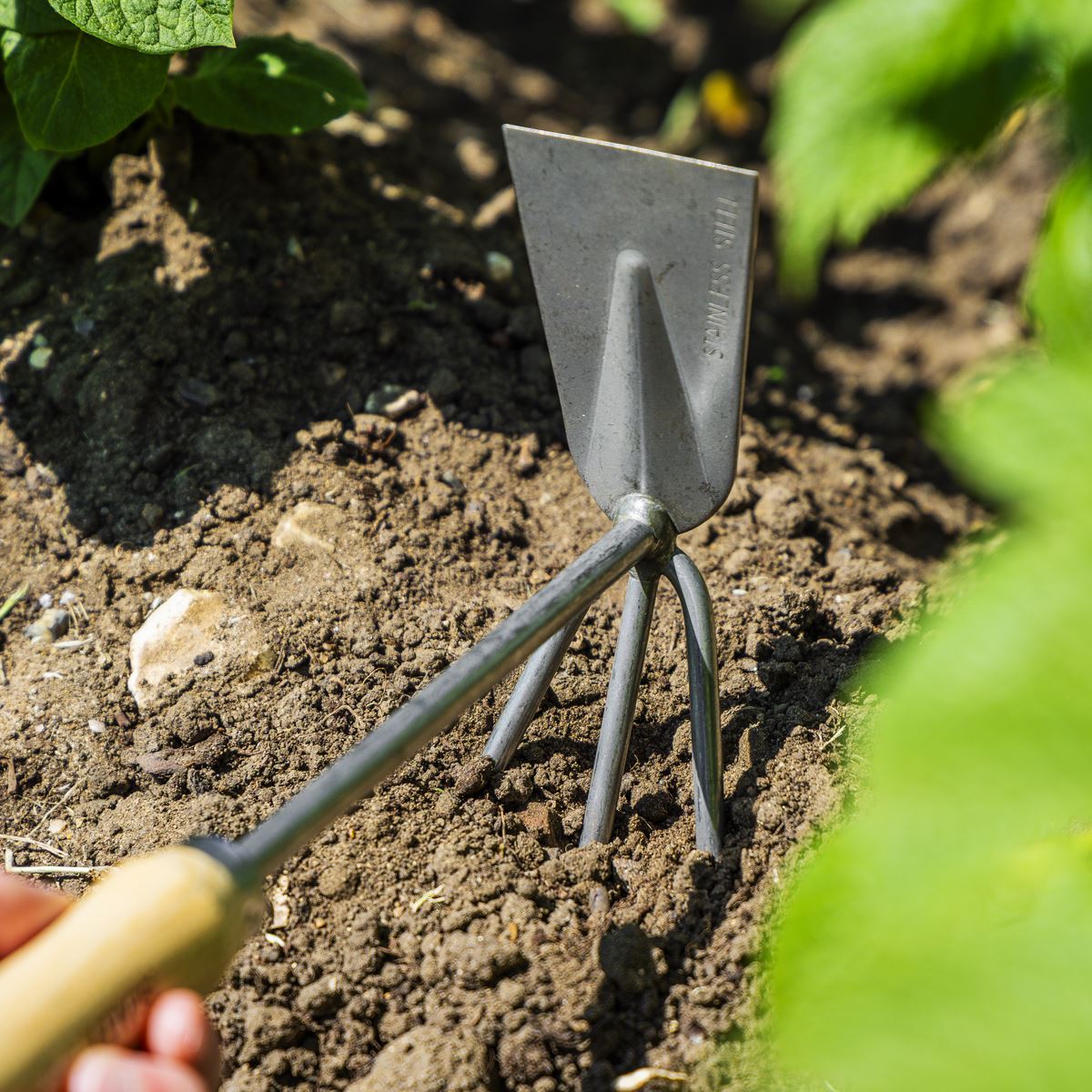Sealey Premier 2-in-1 Hoe and Cultivator with Ash Handle, Stainless Steel Tines