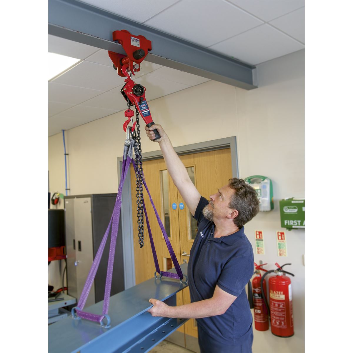 Sealey Lever Hoist Steel 750kg LH750
