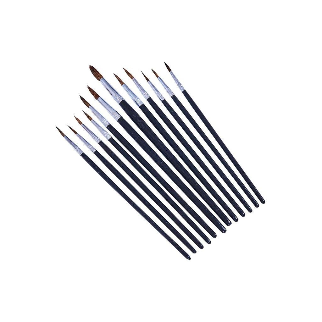 12 Piece Pointed Tip Artist Paint Brush Set Professional Quality Art/Craft/Hobby - S4120