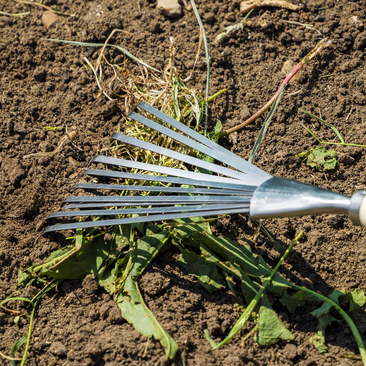 Sealey Premier Leaf Hand Rake with Ash Handle & Stainless Steel Tines GTWH001