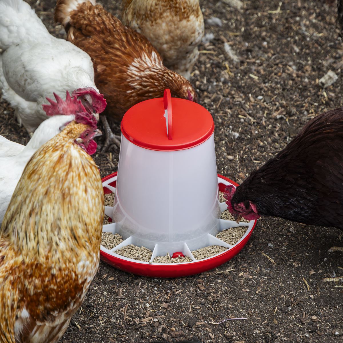 Sealey Poultry Feeder 6kg - Pack of 2 AFT042