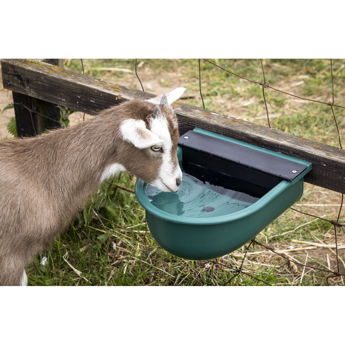 Sealey Automatic Cattle Drinking Bowl 4L AFT01