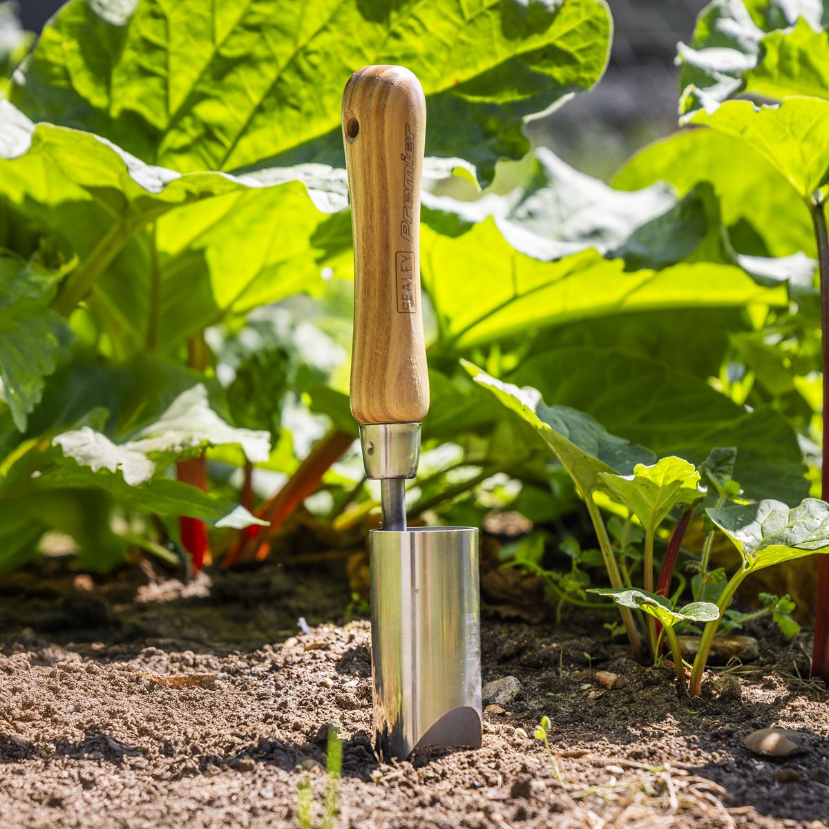 Sealey Premier Planter with Ash Handle & Stainless Steel Head GTWH008