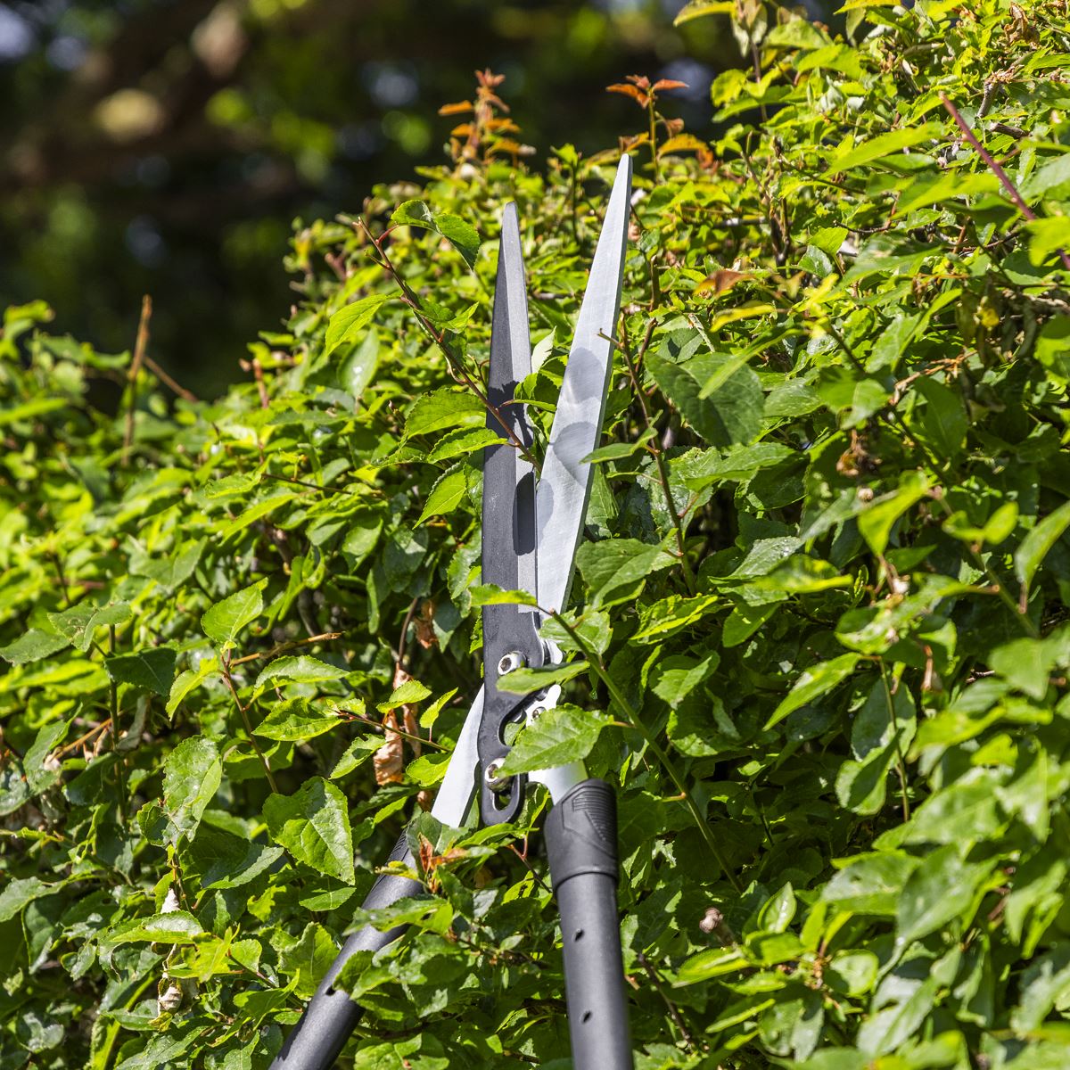 Sealey Telescopic Hedge Shears with Soft Grip Handle & Carbon Steel Blade GTSG019