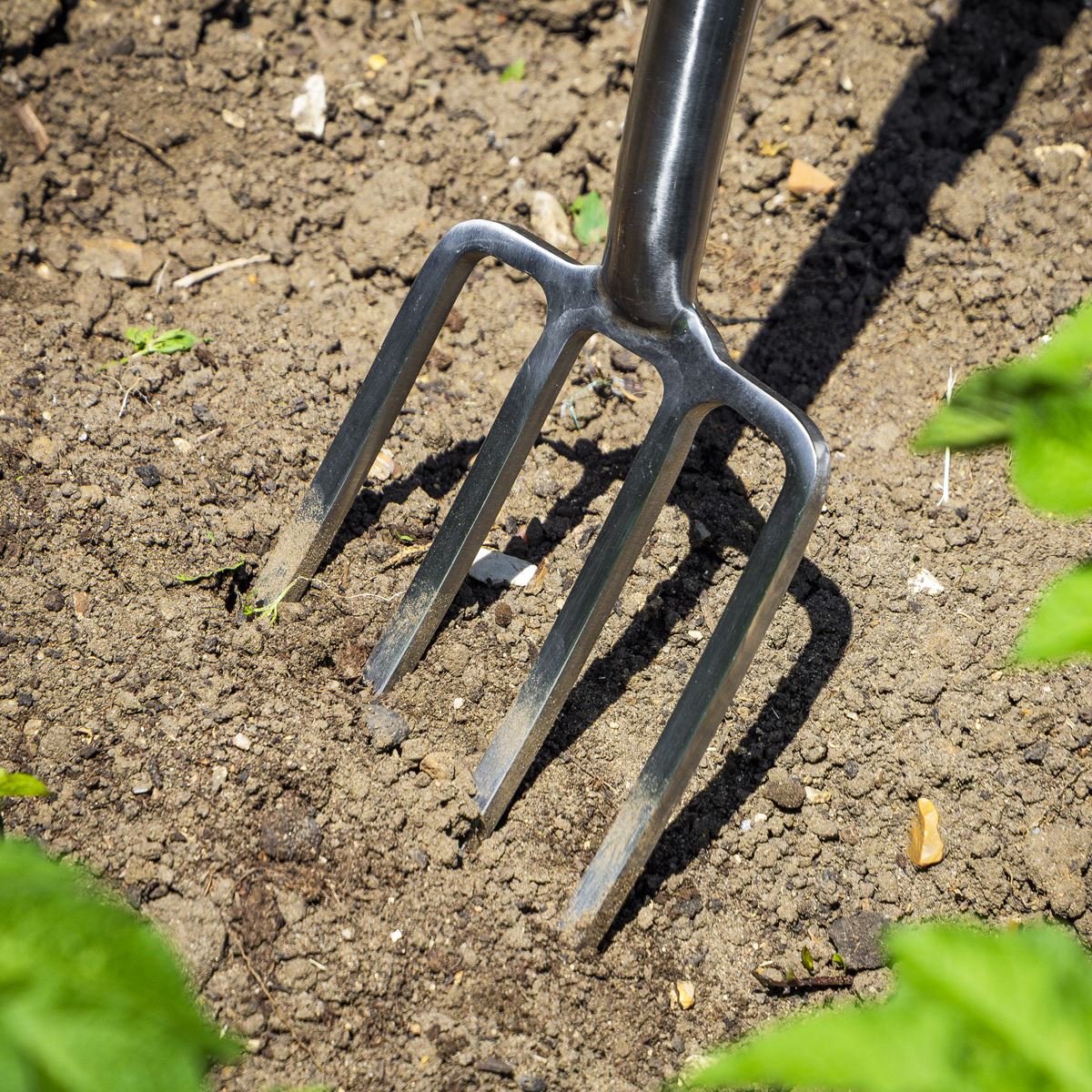 Sealey Premier Digging Fork with Ash Handle & Stainless Steel Tines GTWH016