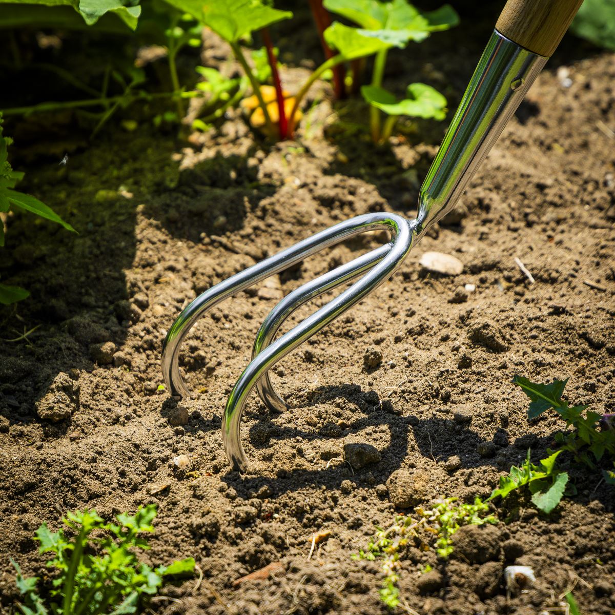Sealey Premier Garden Cultivator with Ash Handle & Stainless Steel Tines GTWH012