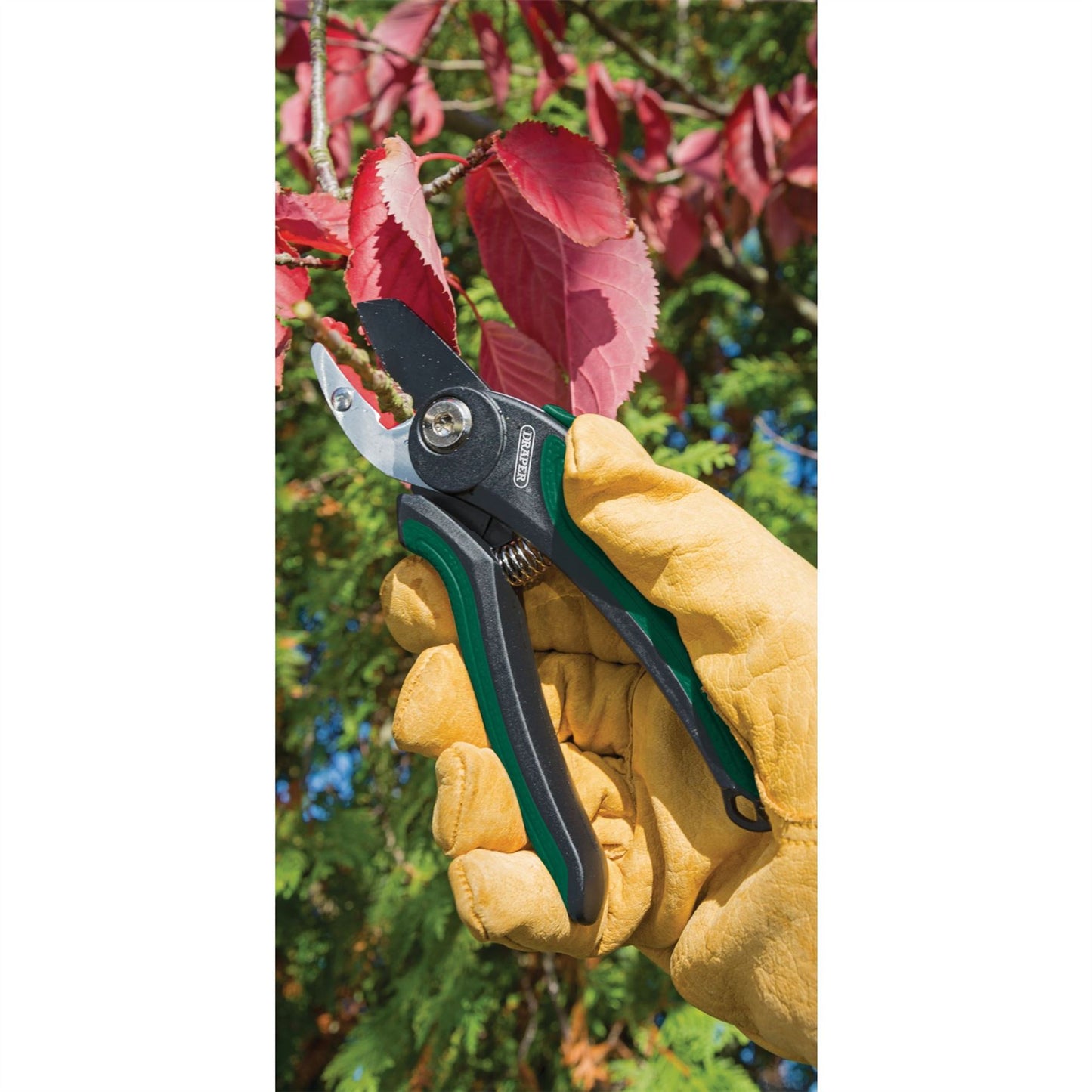 Draper 83970 175mm Anvil Pattern Secateur