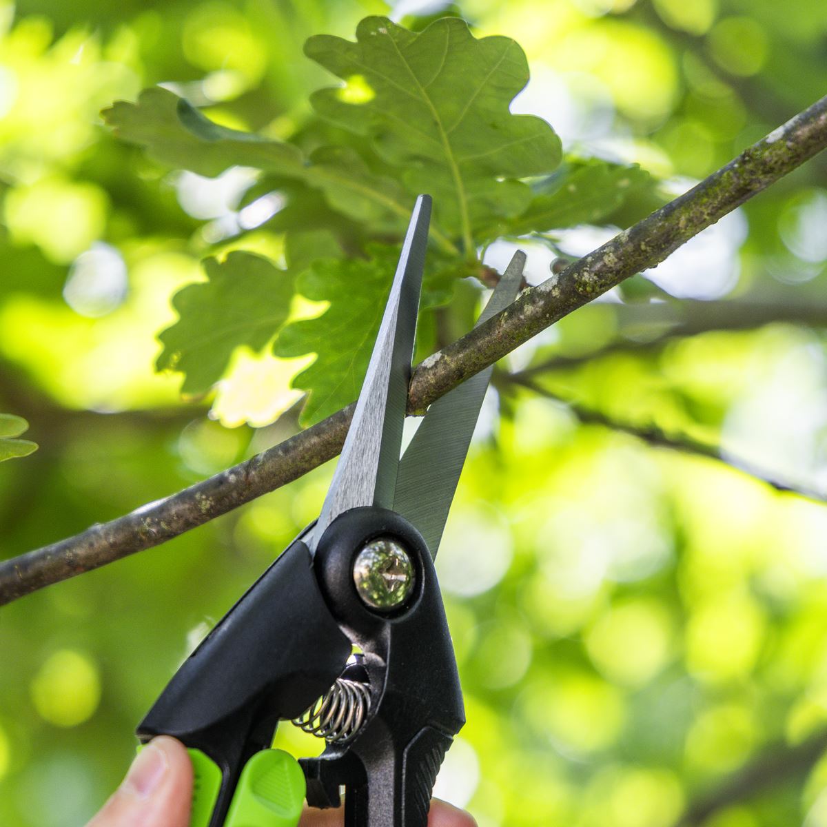 Sealey Pruning Snips with Soft Grip Handle & Carbon Steel Blade, 208mm GTSG003
