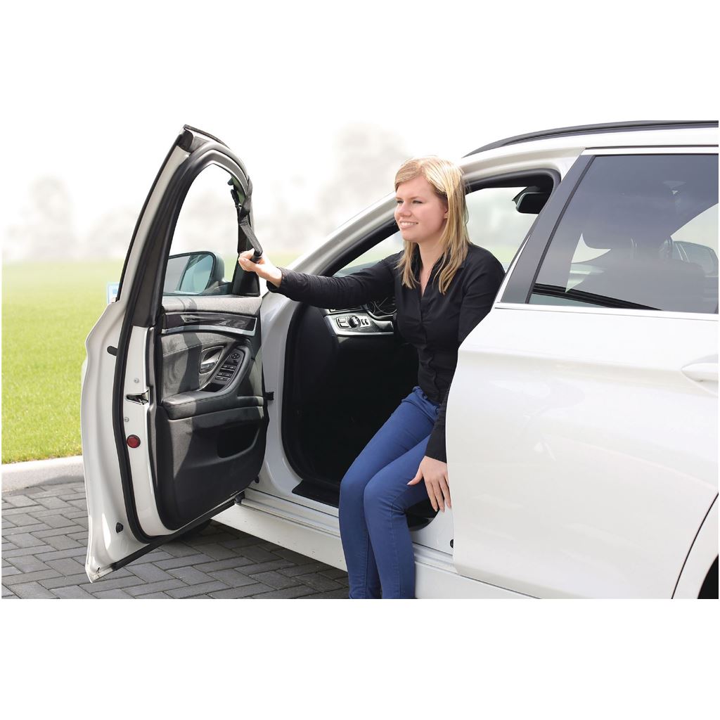 Vitility Car Caddie