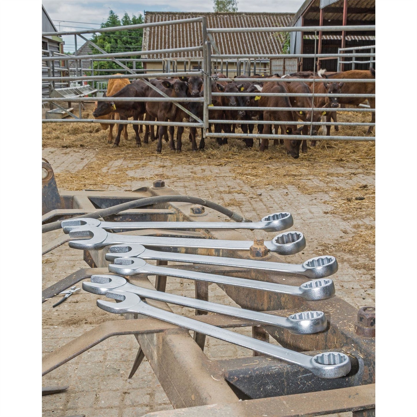 Draper 26695 6 Piece Heavy Duty Combination Spanner Set 34-50mm (Large Sizes)