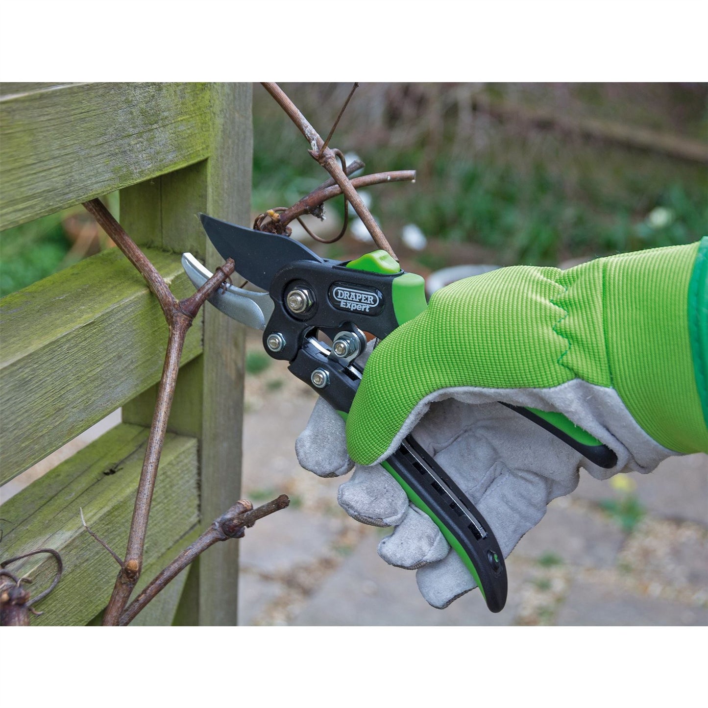 Draper Bypass Pattern Secateurs (200mm) GBSE2 - 94982