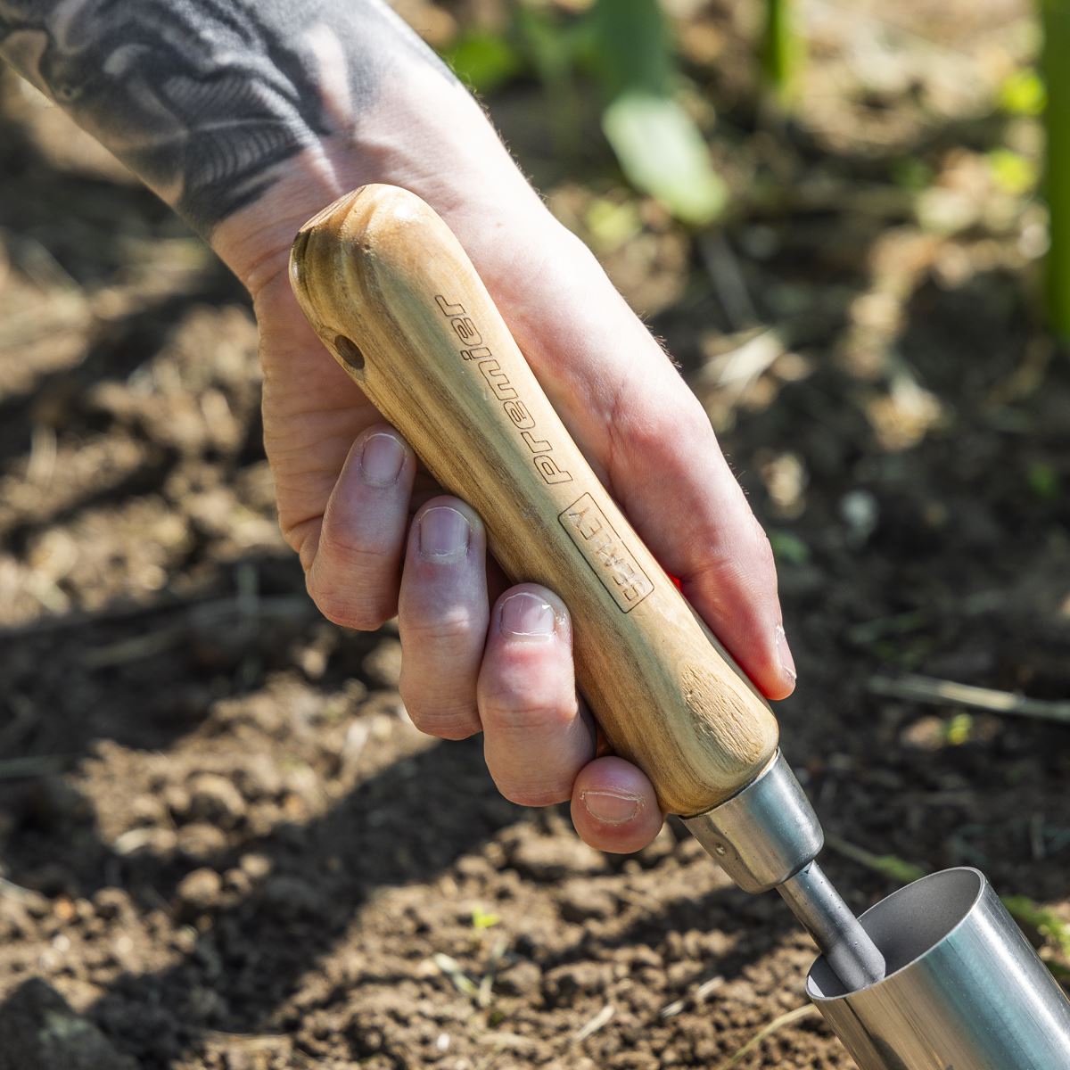 Sealey Premier Planter with Ash Handle & Stainless Steel Head GTWH008