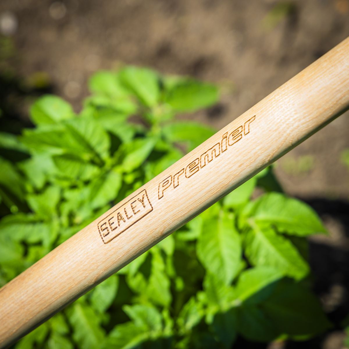 Sealey Premier Dutch Hoe with Long Ash Handle & Stainless Steel Blade GTWH013