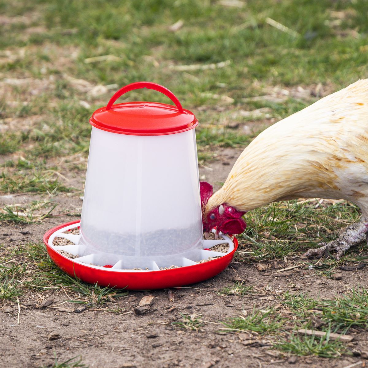 Sealey Poultry Feeder 3kg - Pack of 3 AFT033