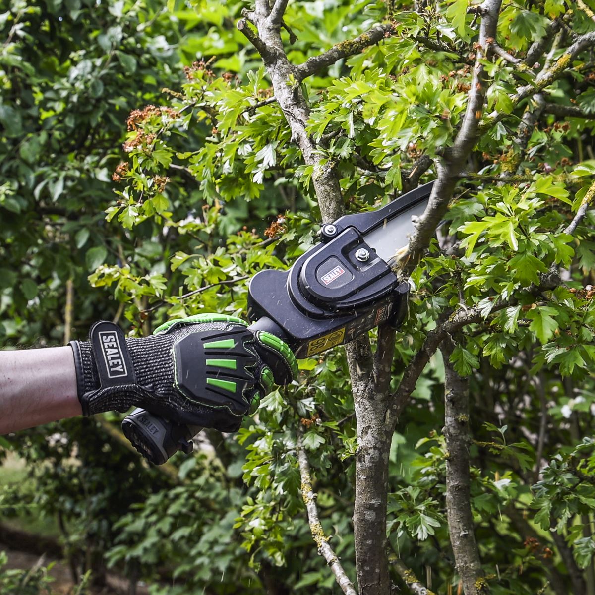 Sealey SV10.8 Series Cordless Pruning Saw 10.8V - Body Only CP108VPSBO