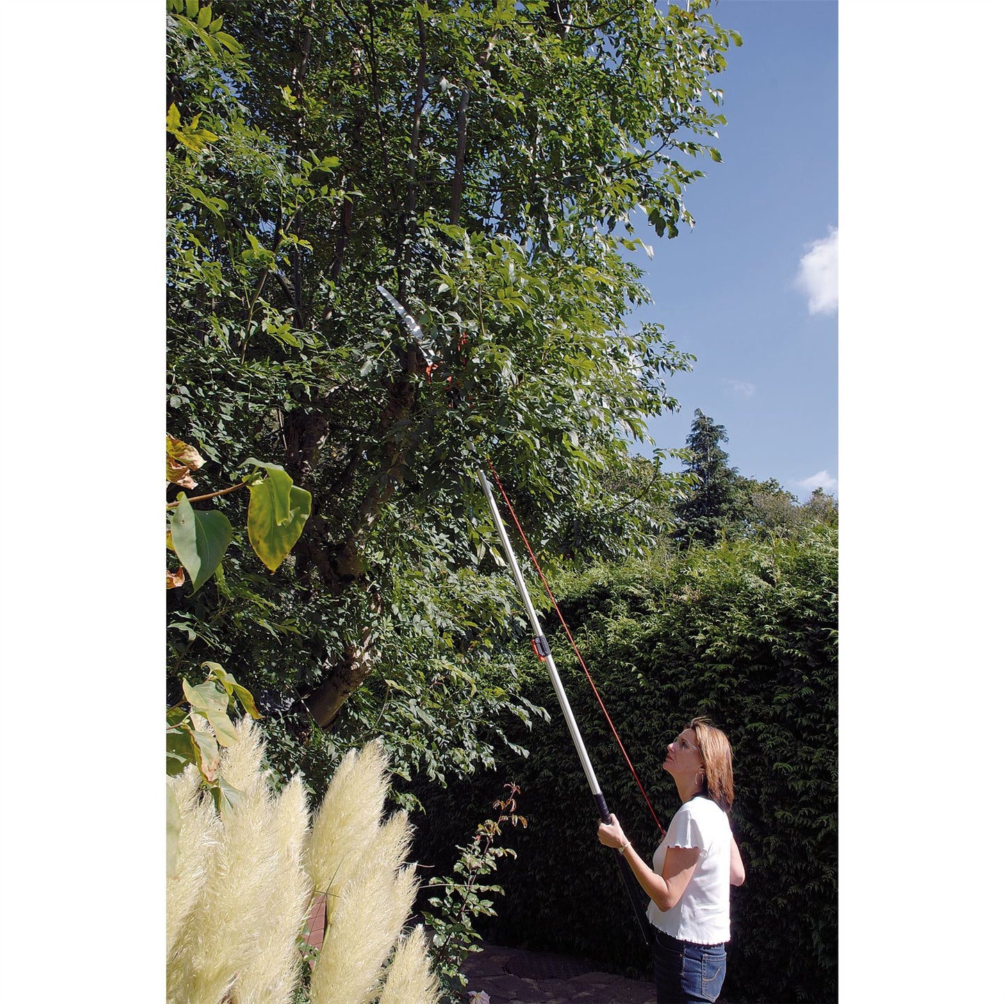Draper Expert Long Handle Reach Telescopic Pruning Pruners Saw Loppers 45334