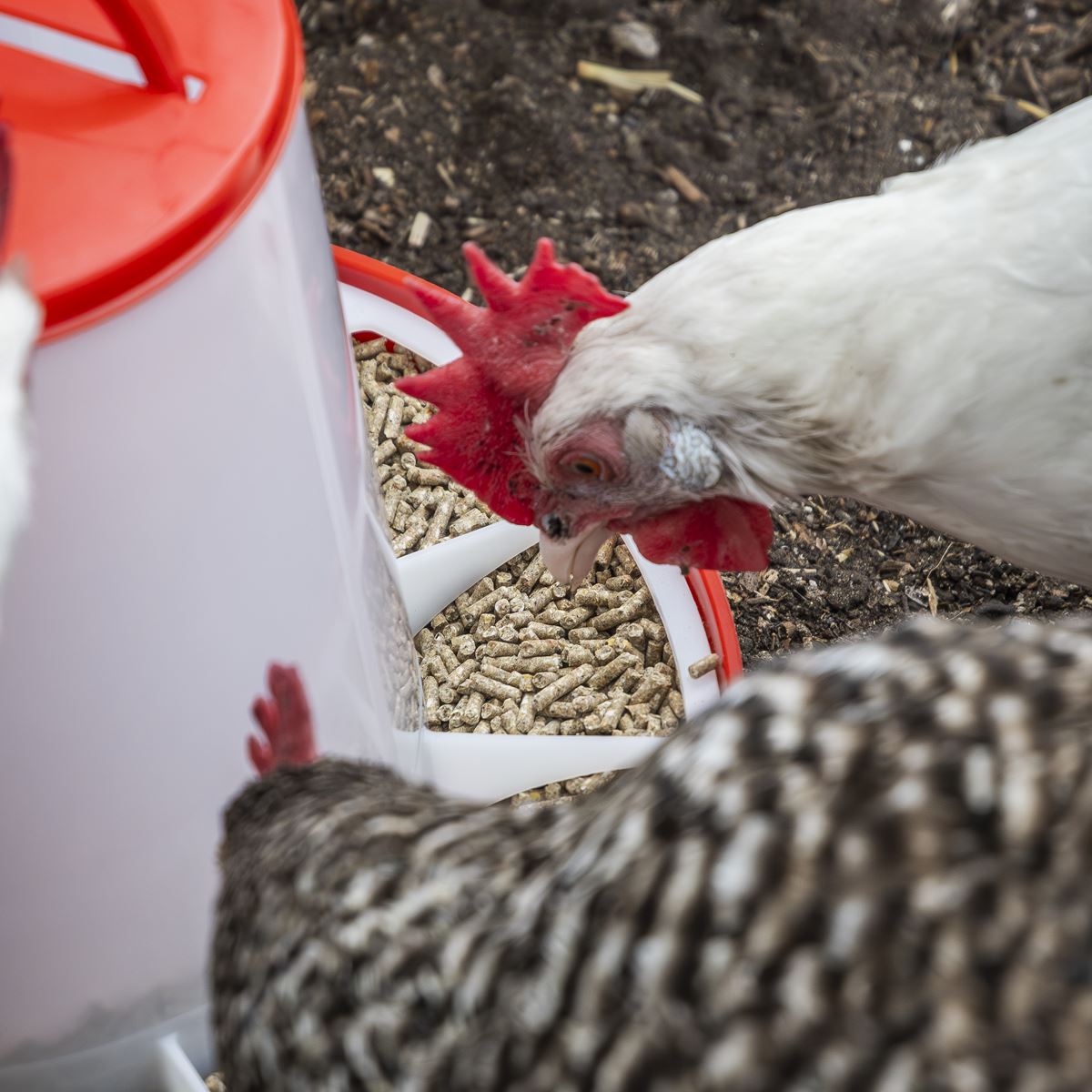 Sealey Poultry Feeder 6kg - Pack of 2 AFT042