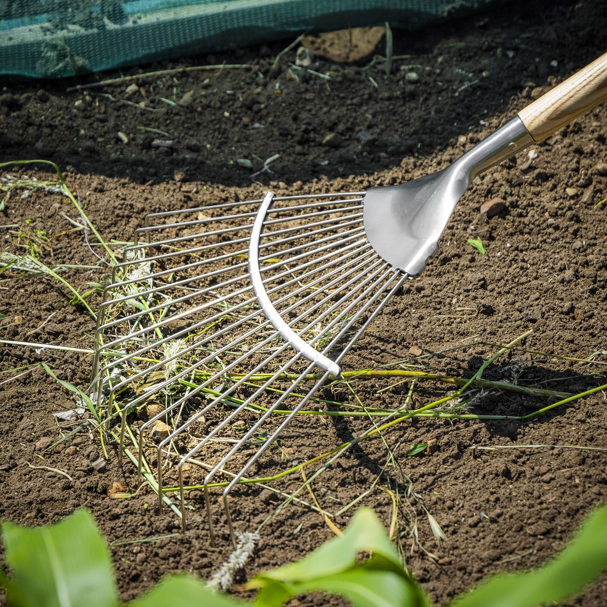 Sealey Premier Lawn Rake with Long Ash Handle & Stainless Steel Tines GTWH010