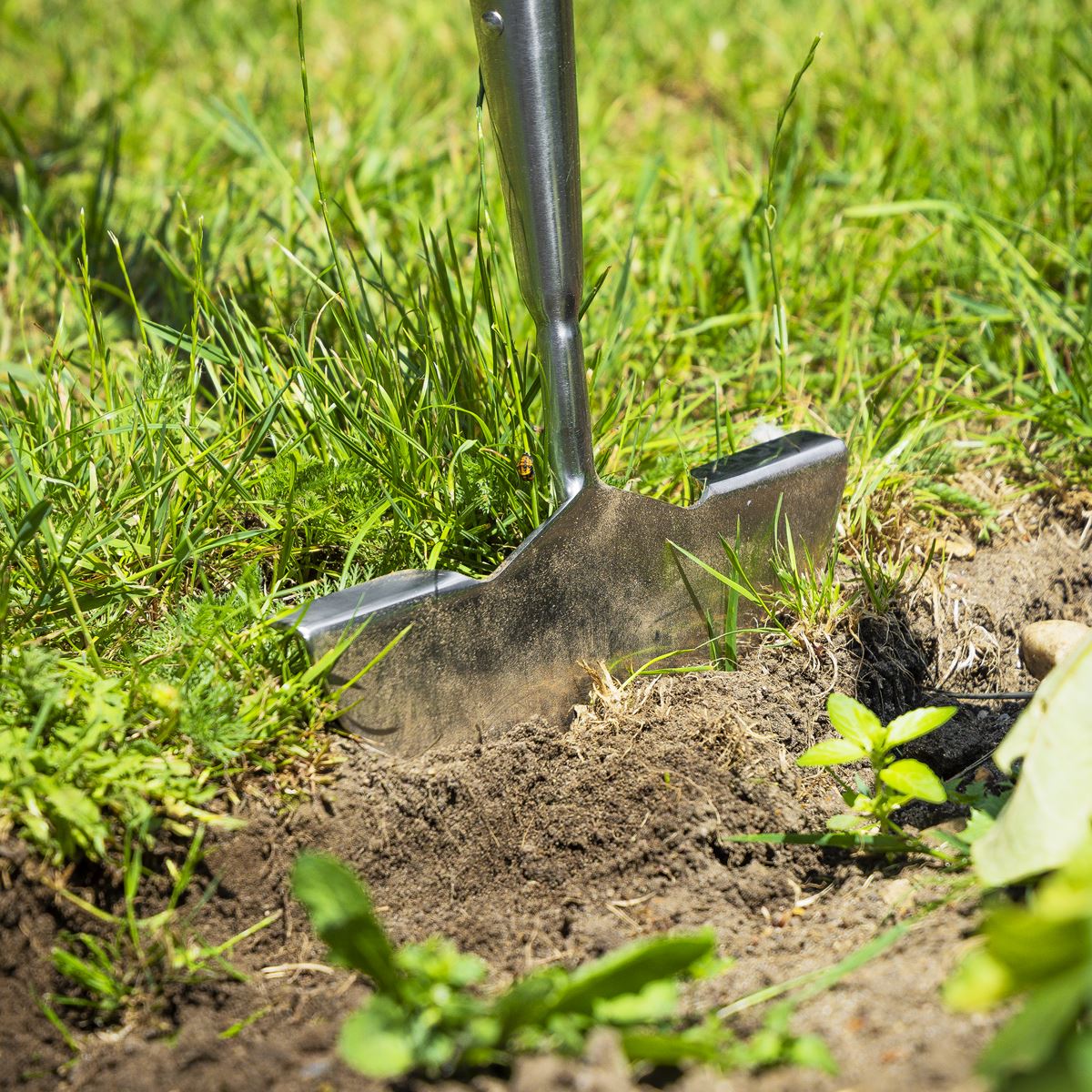 Sealey Premier Lawn Edger with Long Ash Handle & Stainless Steel Head GTWH014