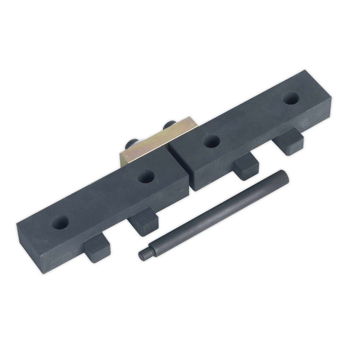 Sealey Pet Eng Timing Kit for BMW 1.8,1.9,2.02.2,2.5,2.8,3.0-Chain VSE4425