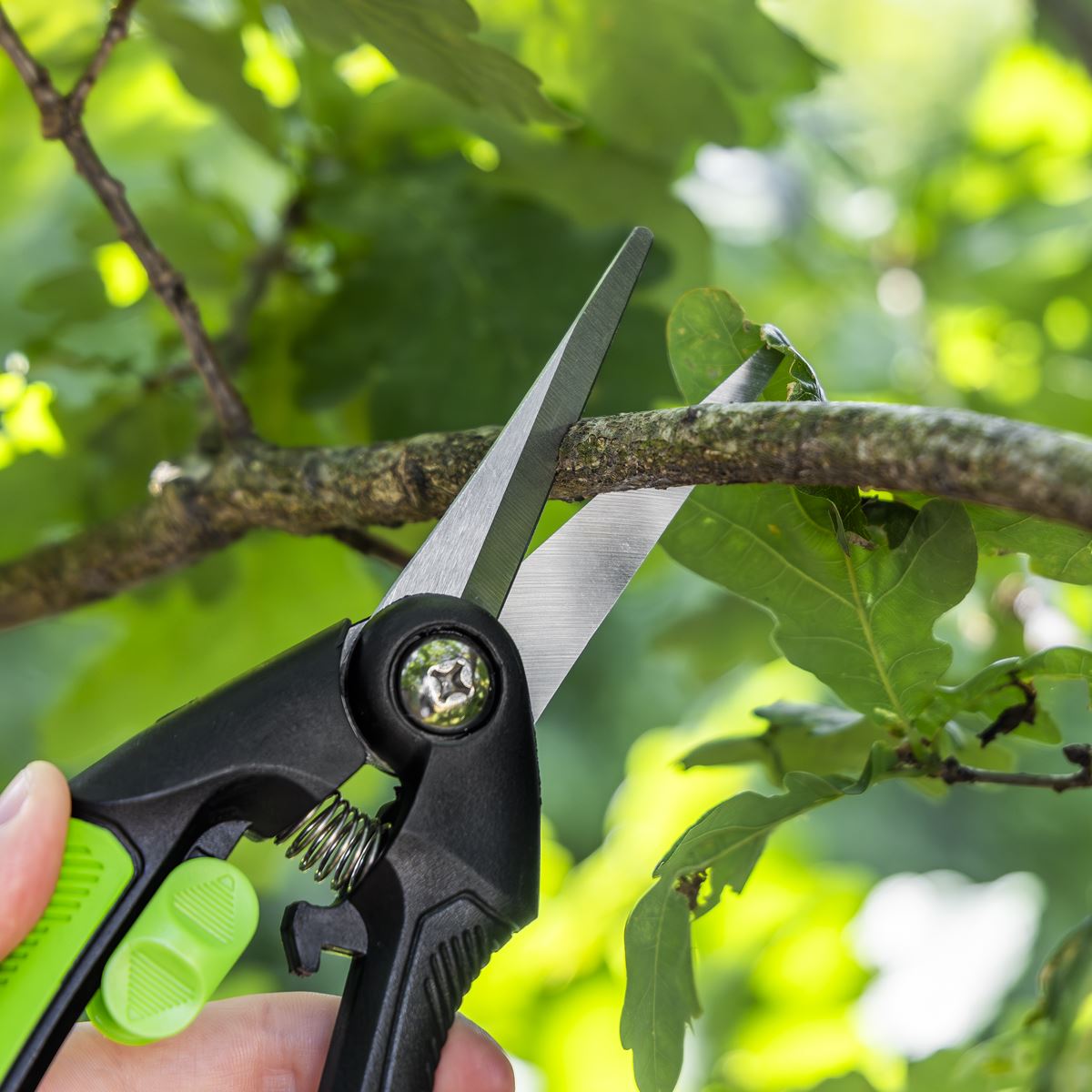 Sealey Pruning Snips with Soft Grip Handle & Carbon Steel Blade, 208mm GTSG003