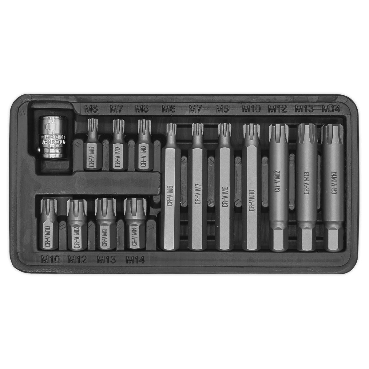 Sealey Ribe Bit & Holder Set 15pc - 3/8"Sq Drive S0871