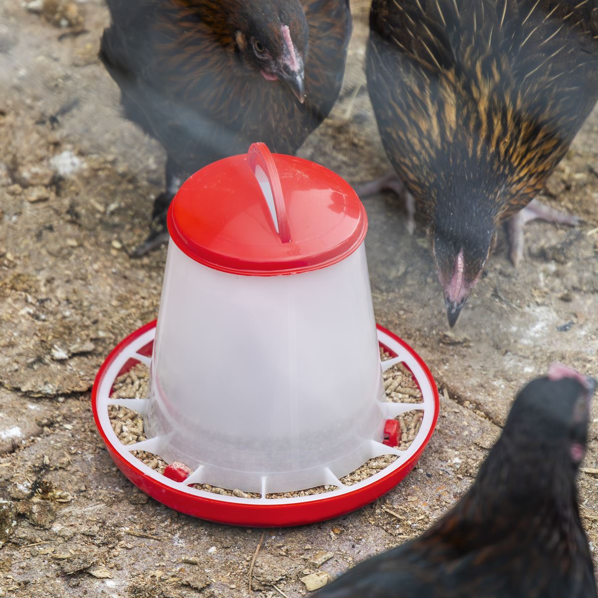 Sealey Poultry Feeder 1.5kg - Pack of 5 AFT025