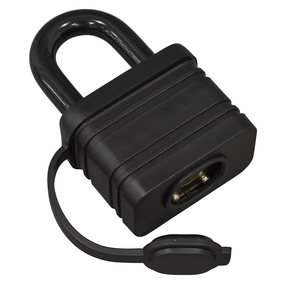 Sealey Steel Body Weatherproof Padlock 54mm PL302W