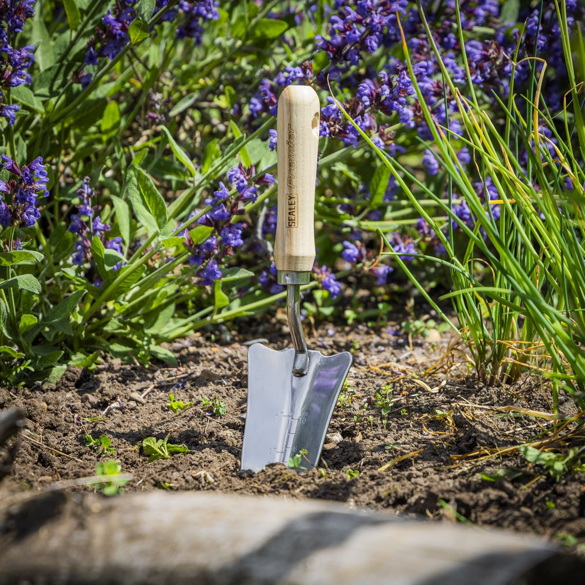 Sealey Premier Slim Head Trowel with Ash Handle & Stainless Steel Blade GTWH004