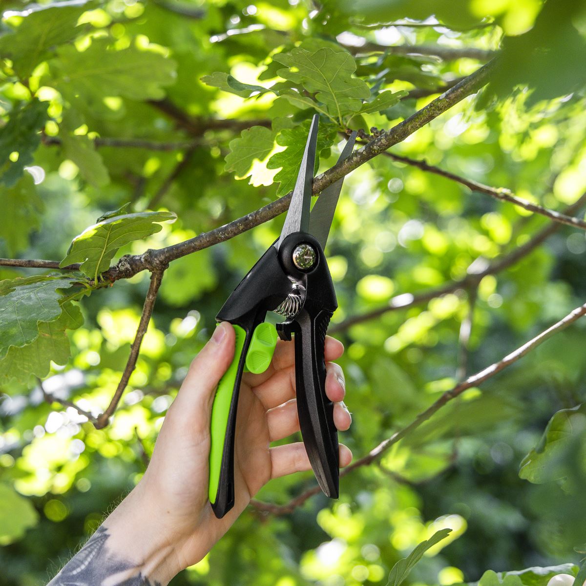 Sealey Pruning Snips with Soft Grip Handle & Carbon Steel Blade, 208mm GTSG003