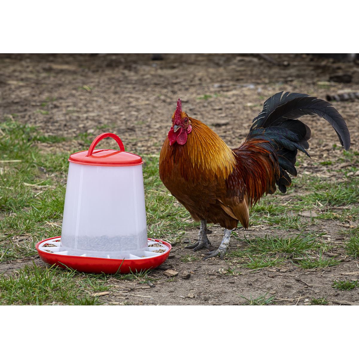 Sealey Poultry Feeder 3kg - Pack of 3 AFT033