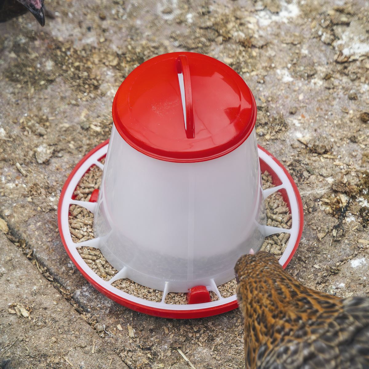Sealey Poultry Feeder 1.5kg - Pack of 5 AFT025