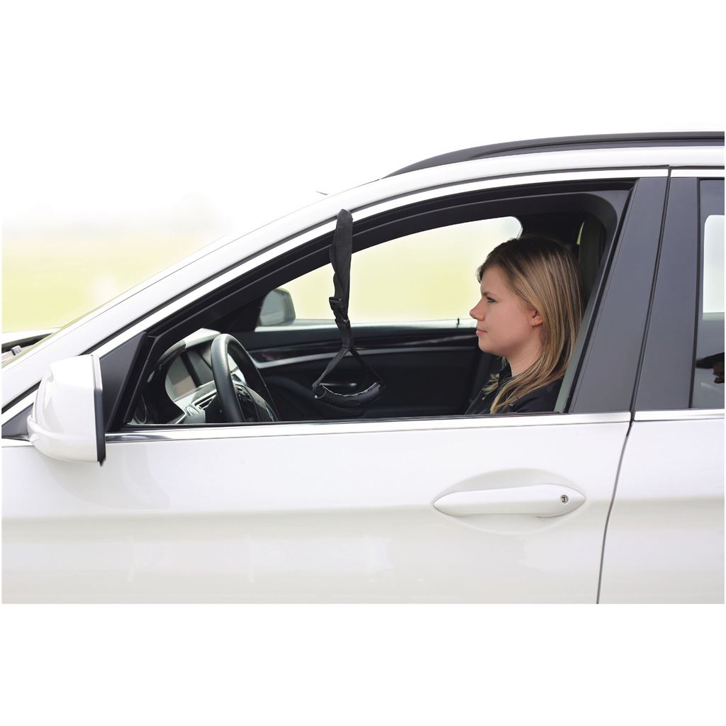 Vitility Car Caddie