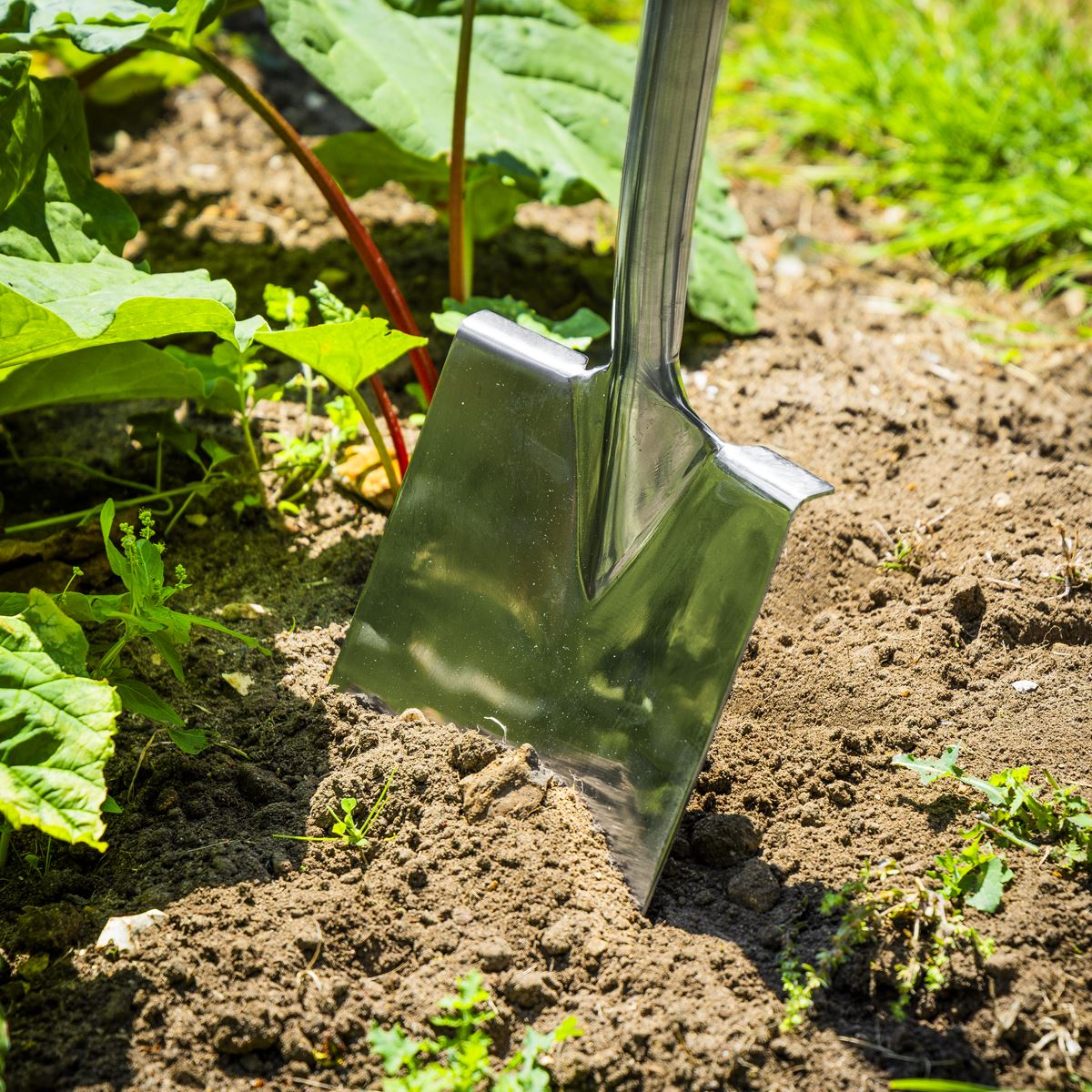 Sealey Premier Digging Spade with Ash Y Handle & Stainless Steel Blade GTWH015