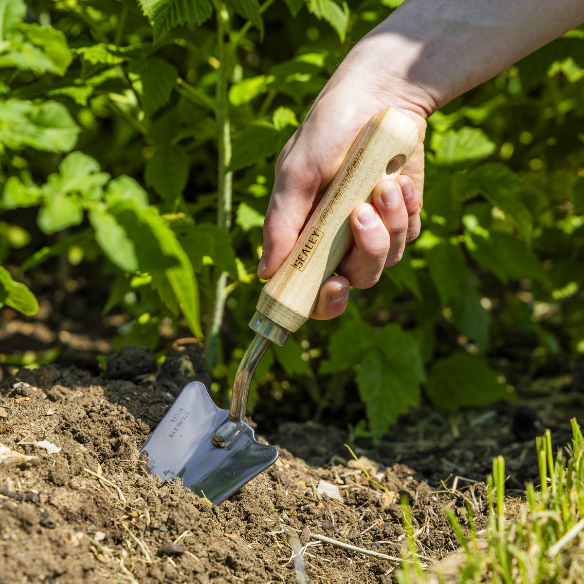 Sealey Premier Slim Head Trowel with Ash Handle & Stainless Steel Blade GTWH004