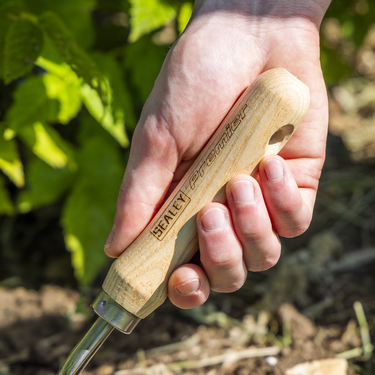 Sealey Premier Hand Trowel with Ash Handle & Stainless Steel Blade GTWH003