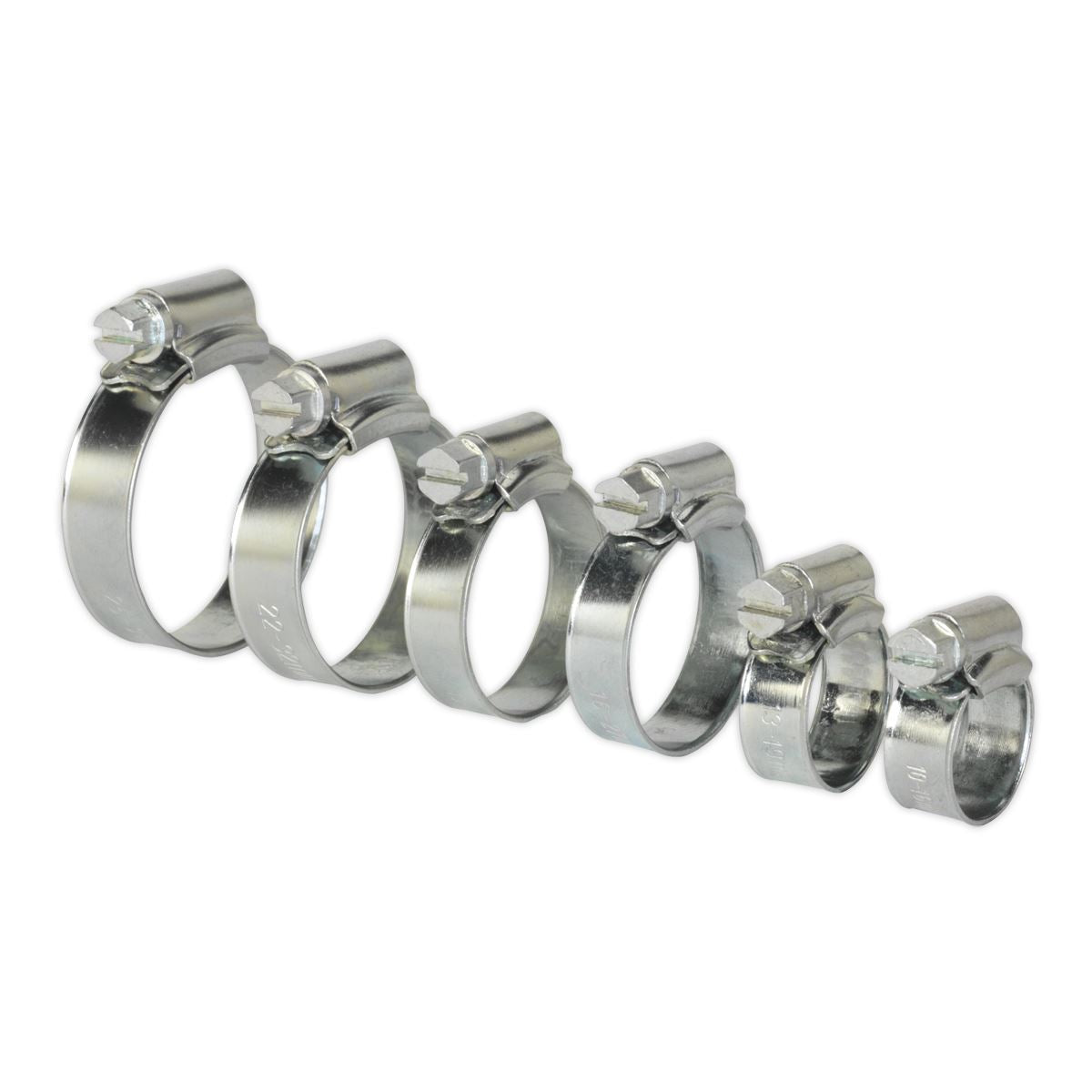 Sealey Hose Clip Assortment 30pc 8-29mm Zinc Plated SHCS1