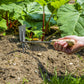 Sealey Premier  2-in-1 Hoe and Cultivator with Ash Handle, Stainless Steel Tines