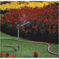 CK Tools Jet Lawn Sprinkler G7755BI