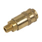 PCL Non-Corrodible PCL Coupling Body Male 1/4"BSPT AC91