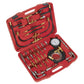 Sealey Fuel Injection Pressure Test Kit VSE212