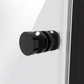 Baridi Pivot Shower Door 800 x 1850mm, 6mm Tempered Glass, Reversible - Black