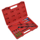 Sealey Cleaning Brush Set Injector Bore 14pc VS1900