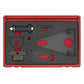 Sealey Front Pulley/Flywheel Locking Tool Set for Renault, Nissan VSE5032