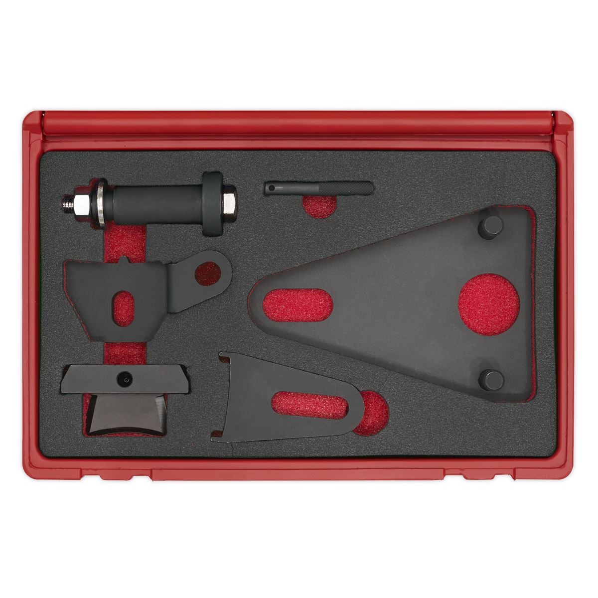 Sealey Front Pulley/Flywheel Locking Tool Set for Renault, Nissan VSE5032