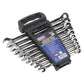 Sealey Combination Ratchet Spanner Set 10pc Extra-Long Metric AK63914