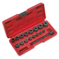Sealey Universal Clutch Aligning Tool Set 17pc AK710