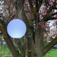 Nikki.Amsterdam The.Ball |Multicolor & Waterproof Ball & Decoration Object