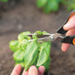Fiskars Solid vegetable shears SP240
